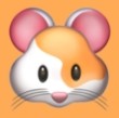 橘子视频最新版