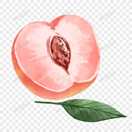 17c入口官方版官方版APP应用